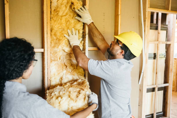 Best Insulation Removal  in Mabton, WA